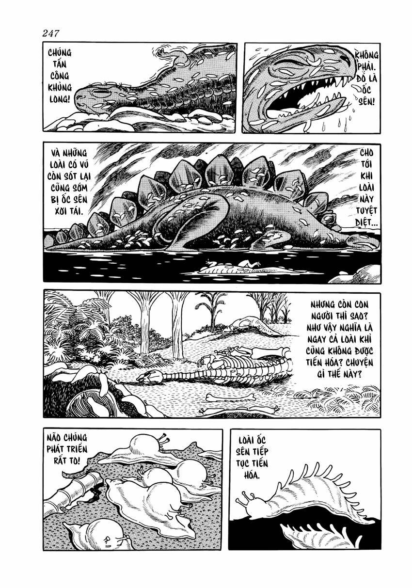 Chim Lửa: Chapter 28