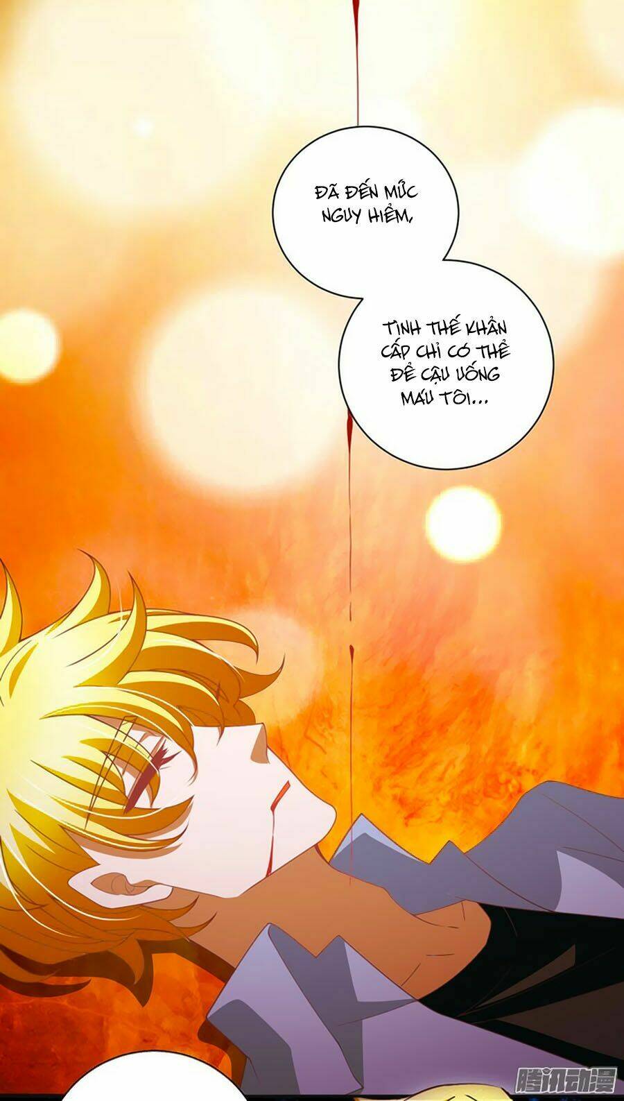 Người Yêu Khát Máu Của Tôi: Chapter 42