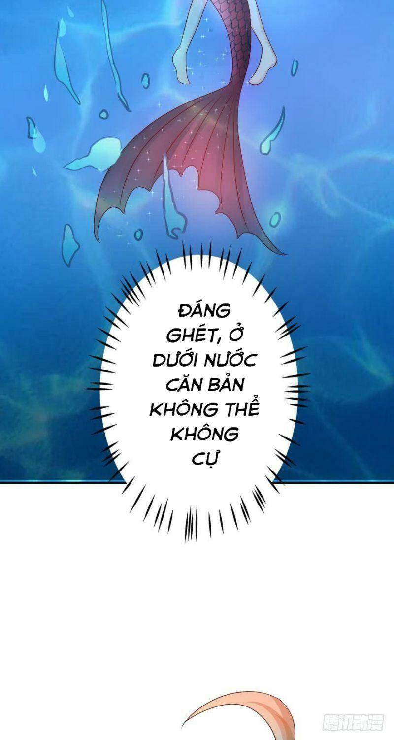 Nhân Ngư Học Trưởng, Đừng Ôm Ta!: Chapter 60