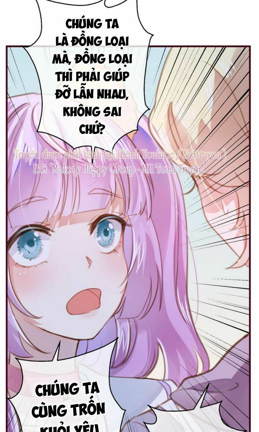 Mỹ Vị Hữu Không Phải Lỗi Của Tôi: Chapter 3.5