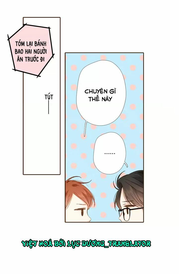 Tình yêu là màu hoa anh thảo: Chapter 32.3