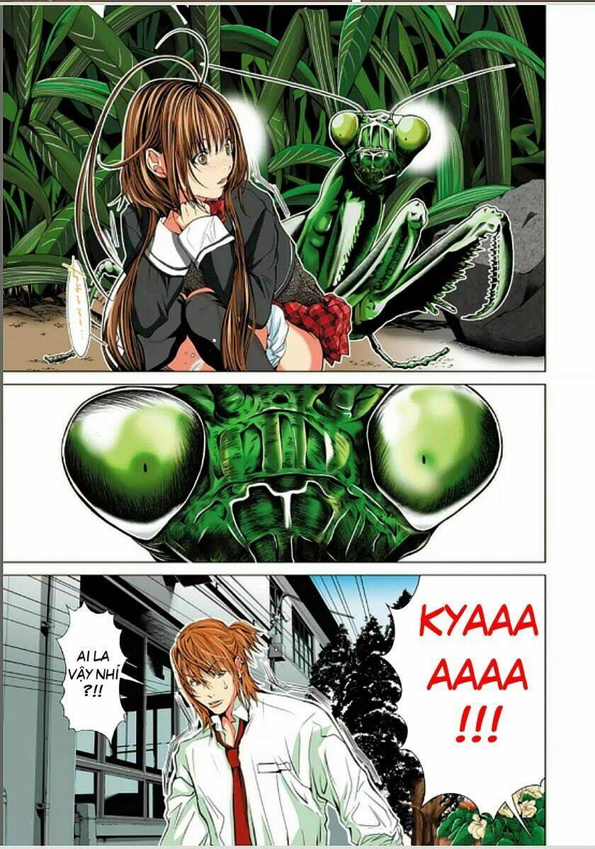 Minimum: Chapter 6