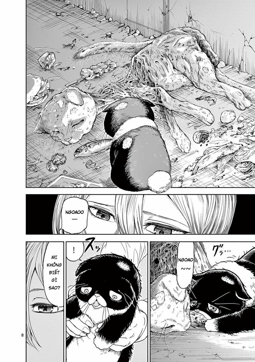 Nữ Vương Của Máu Và Tro: Chapter 0