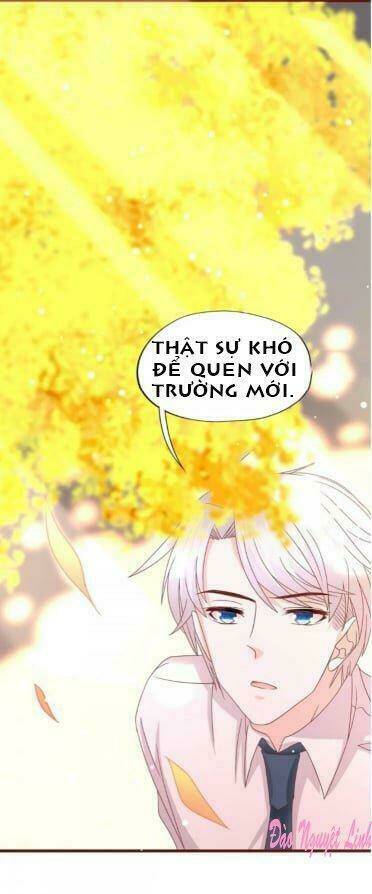 Tình Yêu Bốn Mùa: Chapter 17