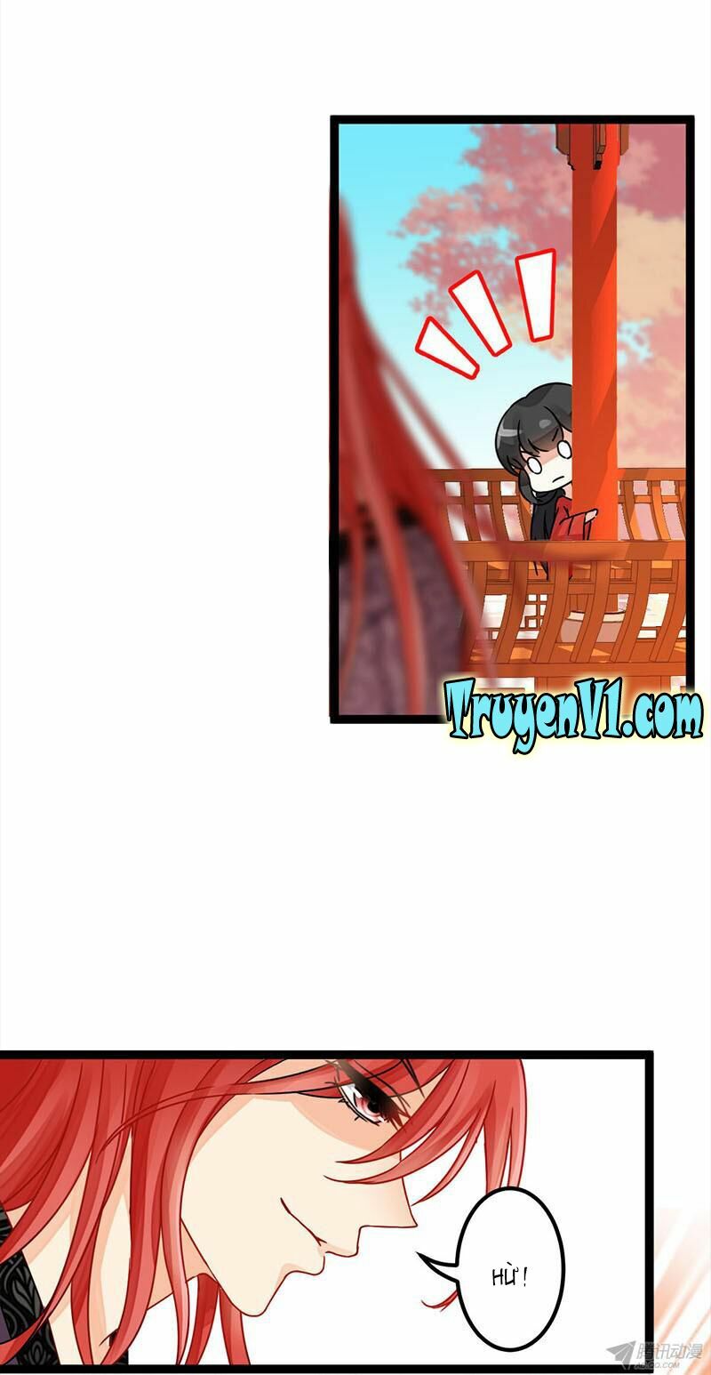 Vương Gia ! Ngươi Thật Bỉ Ổi !: Chapter 2