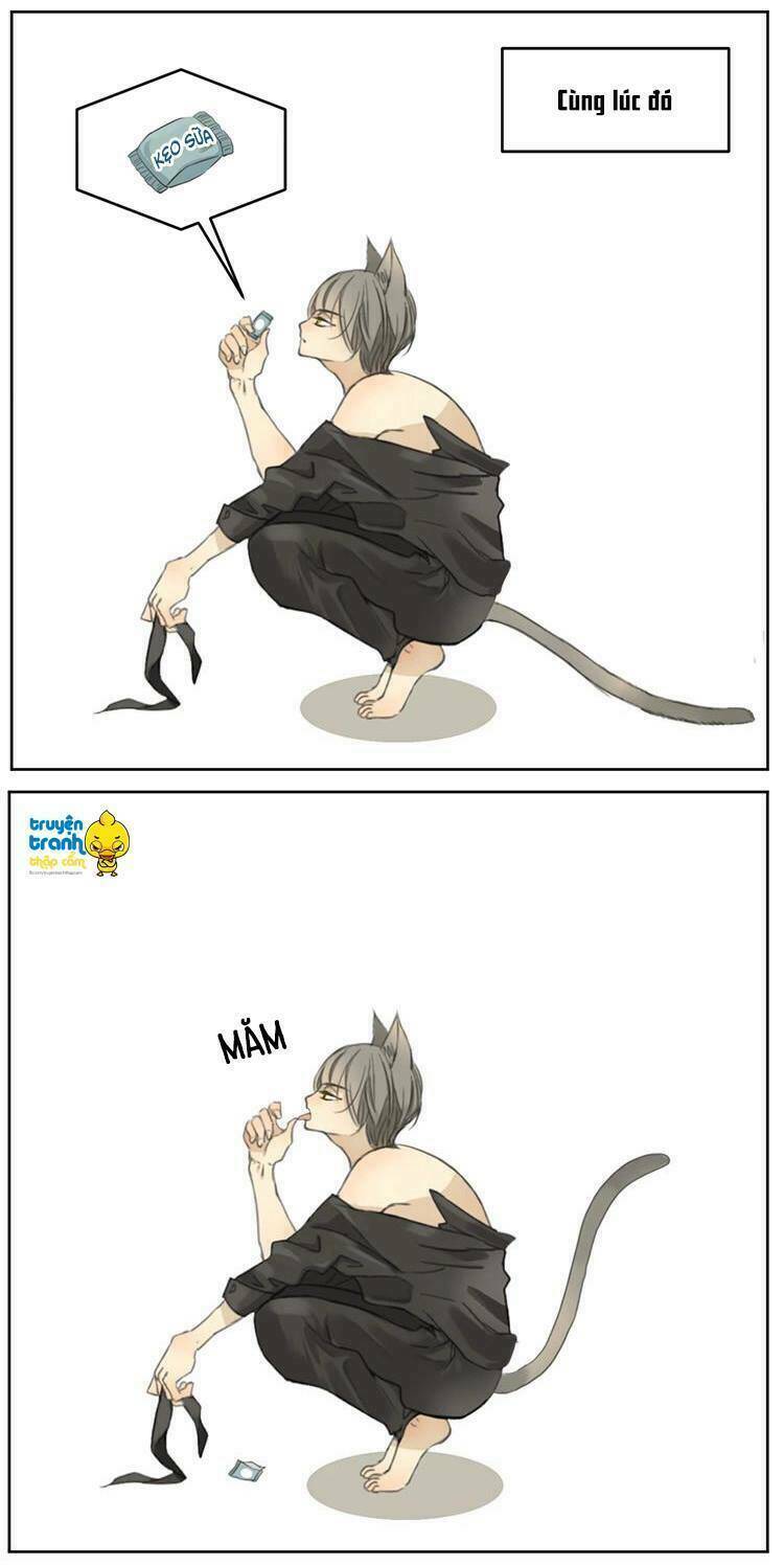 Cứu Mạng! Loài Mèo Thống Trị Thế Giới Rồi!: Chapter 2