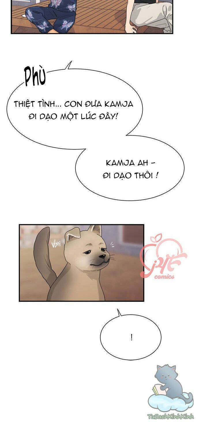 Phải Lòng Oan Gia: Chapter 97