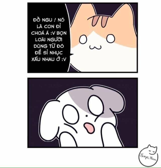 Khi Loài Mèo Làm Bá Chủ Thế Giới: Chapter 2