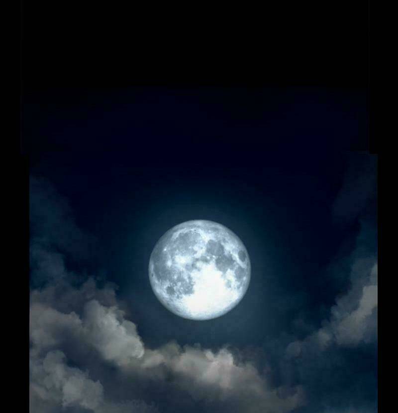 Khúc hát người cá Siren: Chapter 4