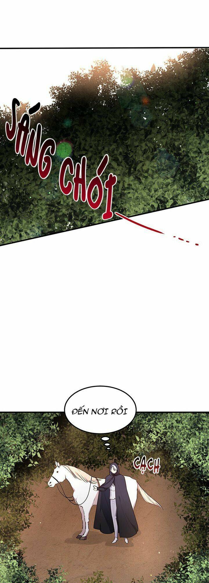 Công Tước, Loạn Vừa Thôi!: Chapter 107