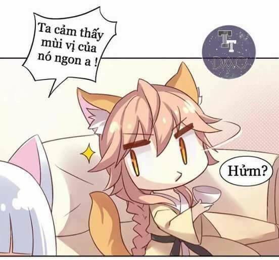 Dưới Móng Vuốt Mèo: Chapter 6