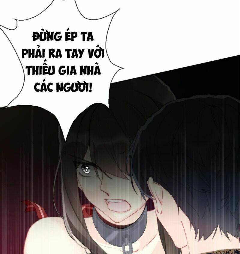 Tôi Bị Ép Trở Thành Vương Phi Khi Xuyên Tới Thế Giới Khác: Chapter 1.2