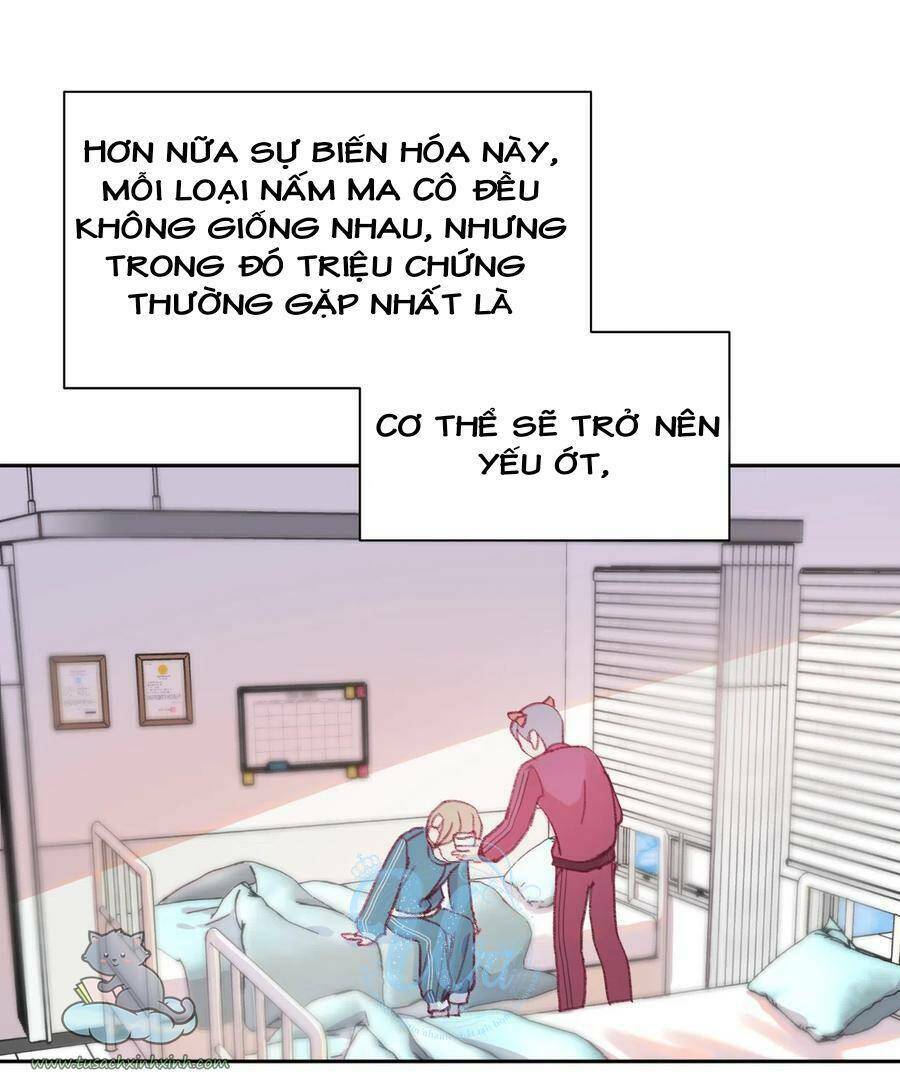 Nhật Ký Nấm Ma Cô: Chapter 8