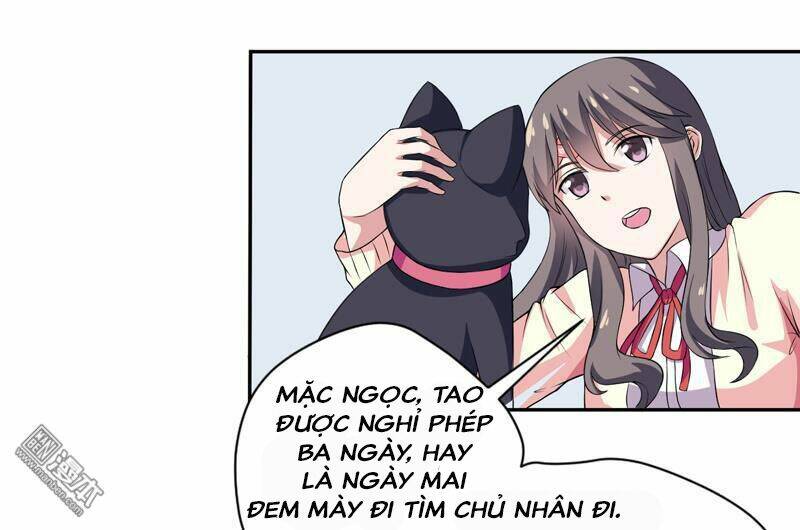 Miêu Vương Tại Thượng: Chapter 5