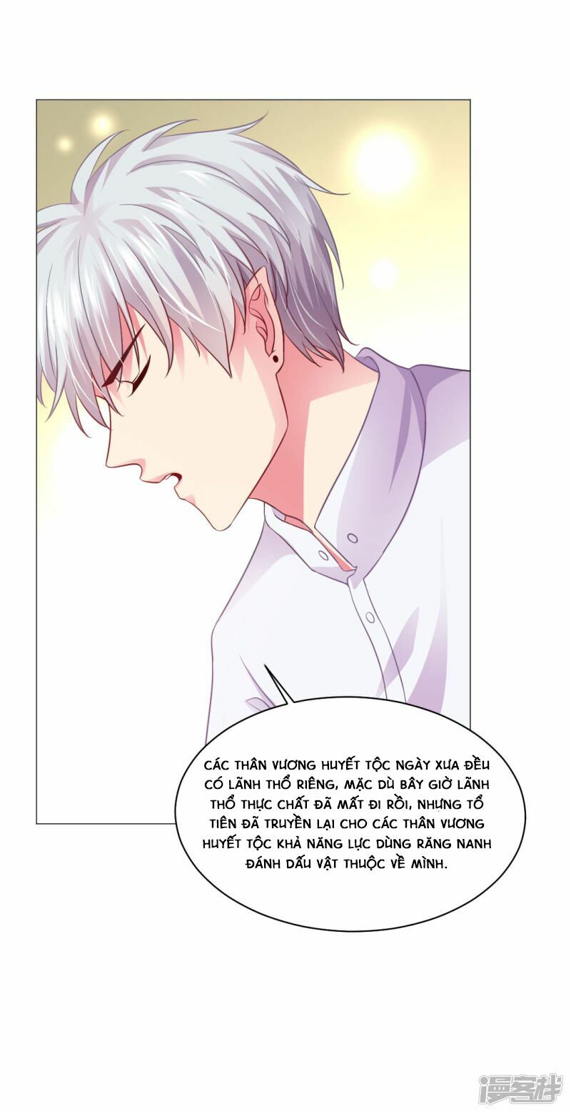 Minh Tinh Là Huyết Tộc: Chapter 11
