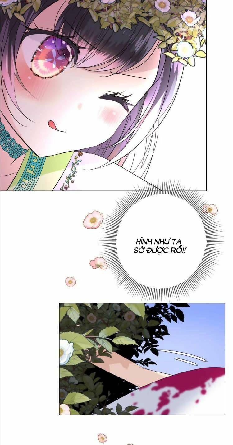 Sao Lại Là Yêu?: Chapter 5