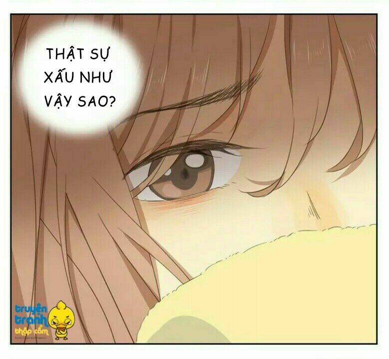 Cứu Mạng! Loài Mèo Thống Trị Thế Giới Rồi!: Chapter 36