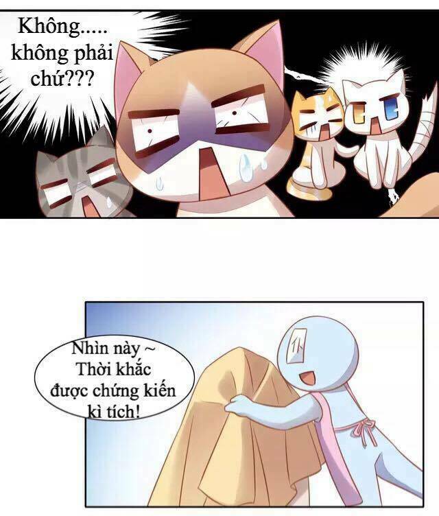 Dưới Móng Vuốt Mèo: Chapter 13