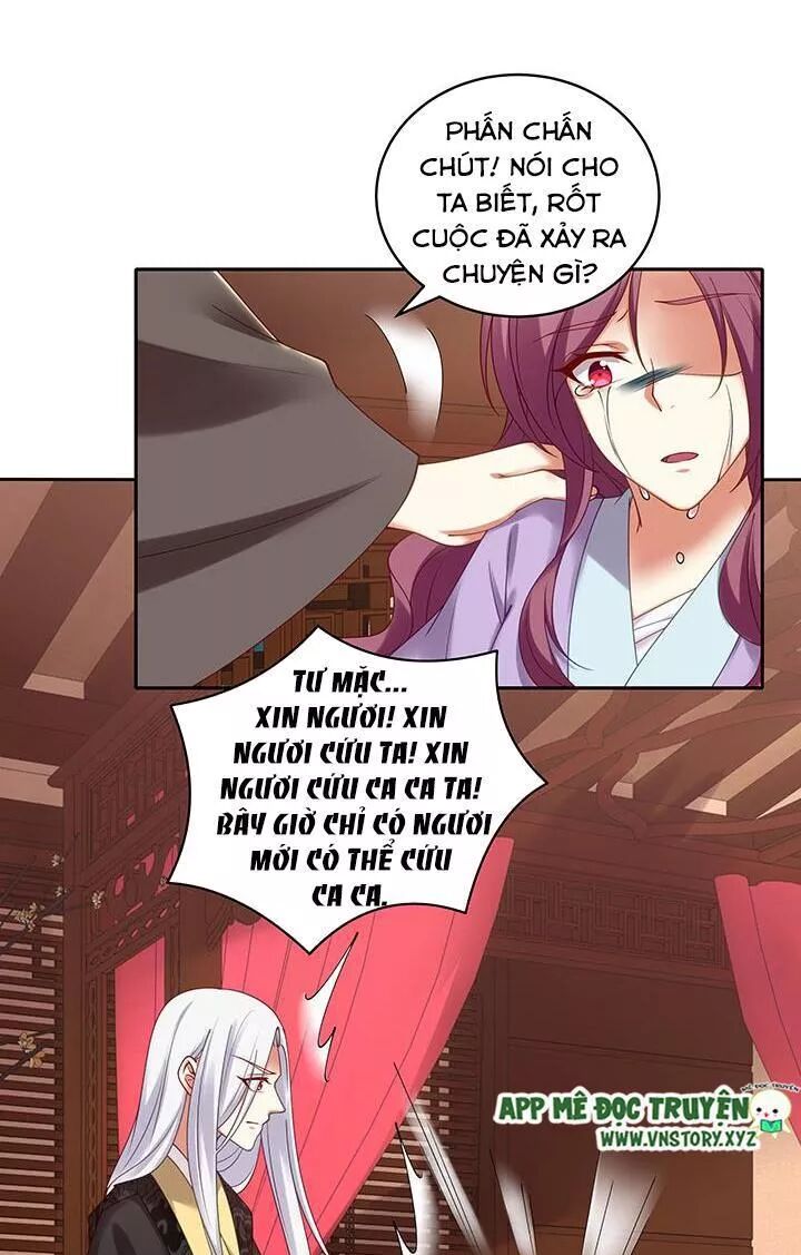 Đô đốc đại nhân sủng thê kí: Chapter 112: Phu nhân ta không cần che giấu