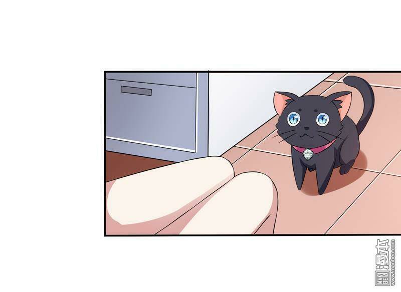 Miêu Vương Tại Thượng: Chapter 4