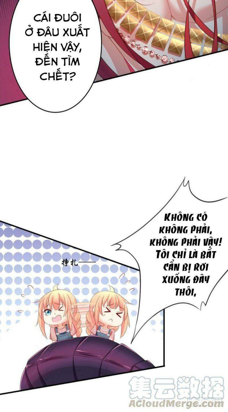 Nhân Ngư Học Trưởng, Đừng Ôm Ta!: Chapter 67