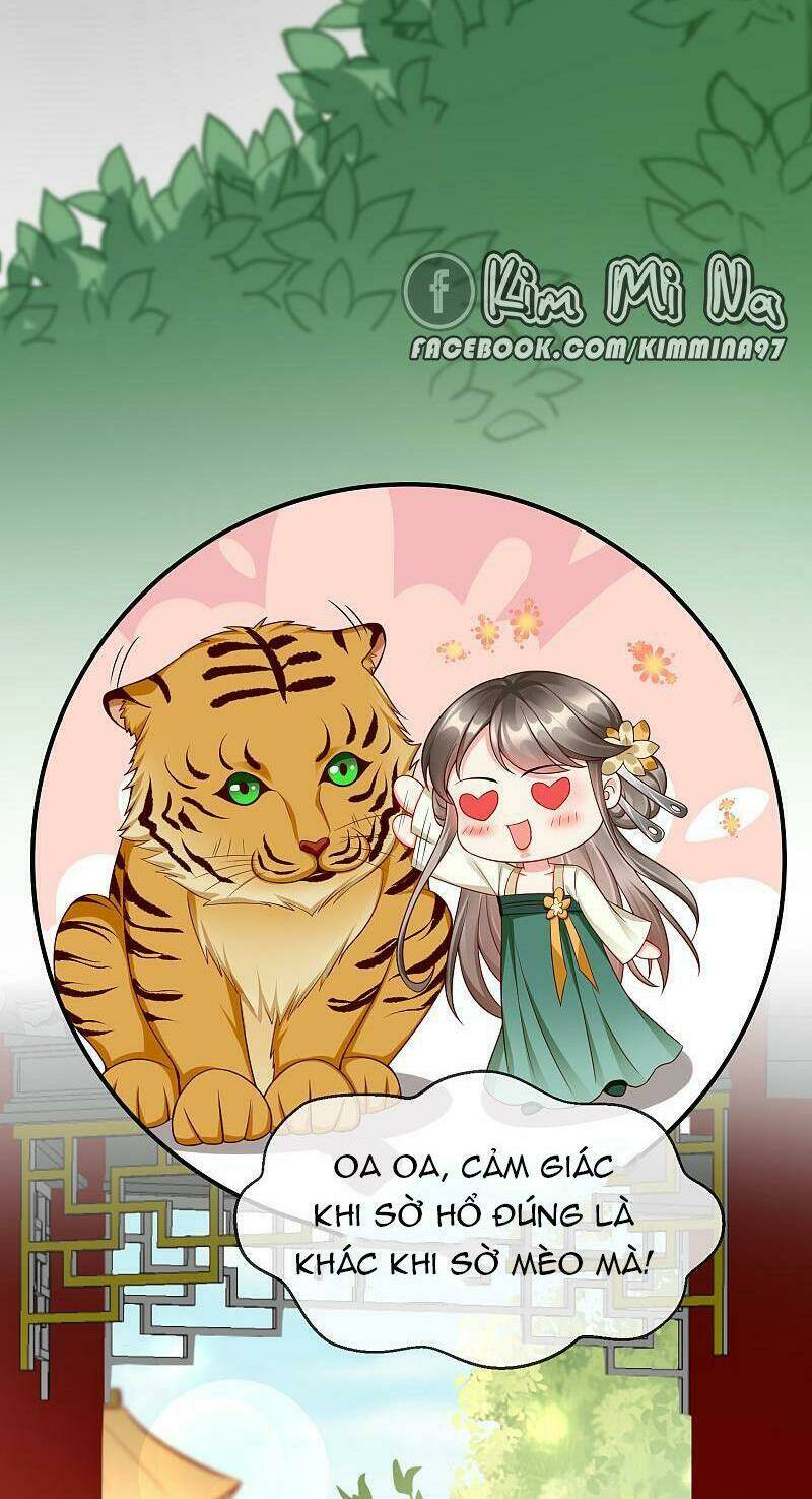 Vương Phi Là Đoá Bạch Liên Hoa: Chapter 36