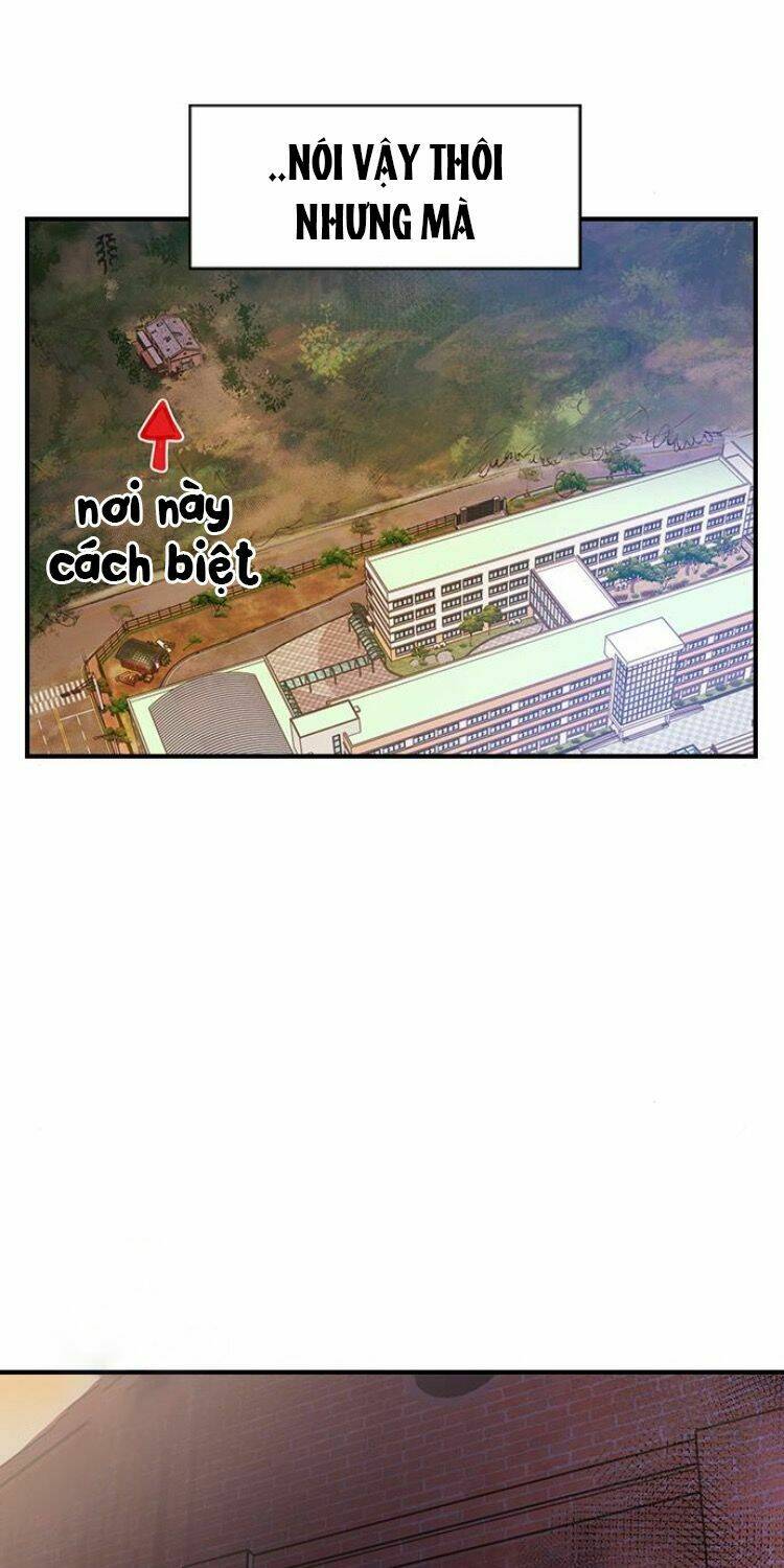 Duyên Nợ Kiếp Trước: Chapter 10