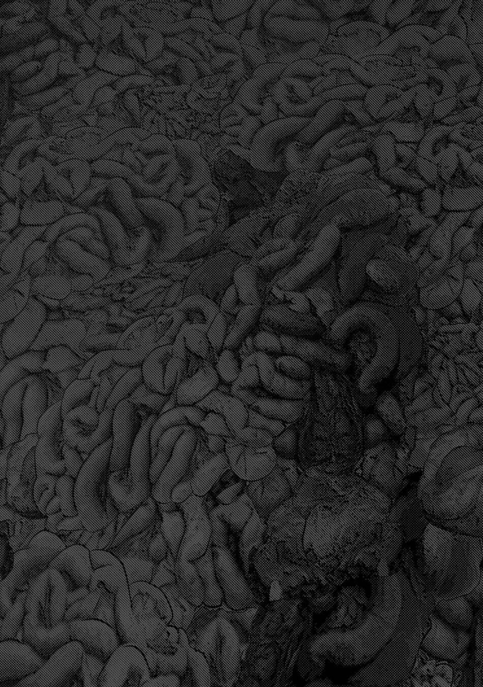 Đảo Kinh Hoàng: Chapter 13