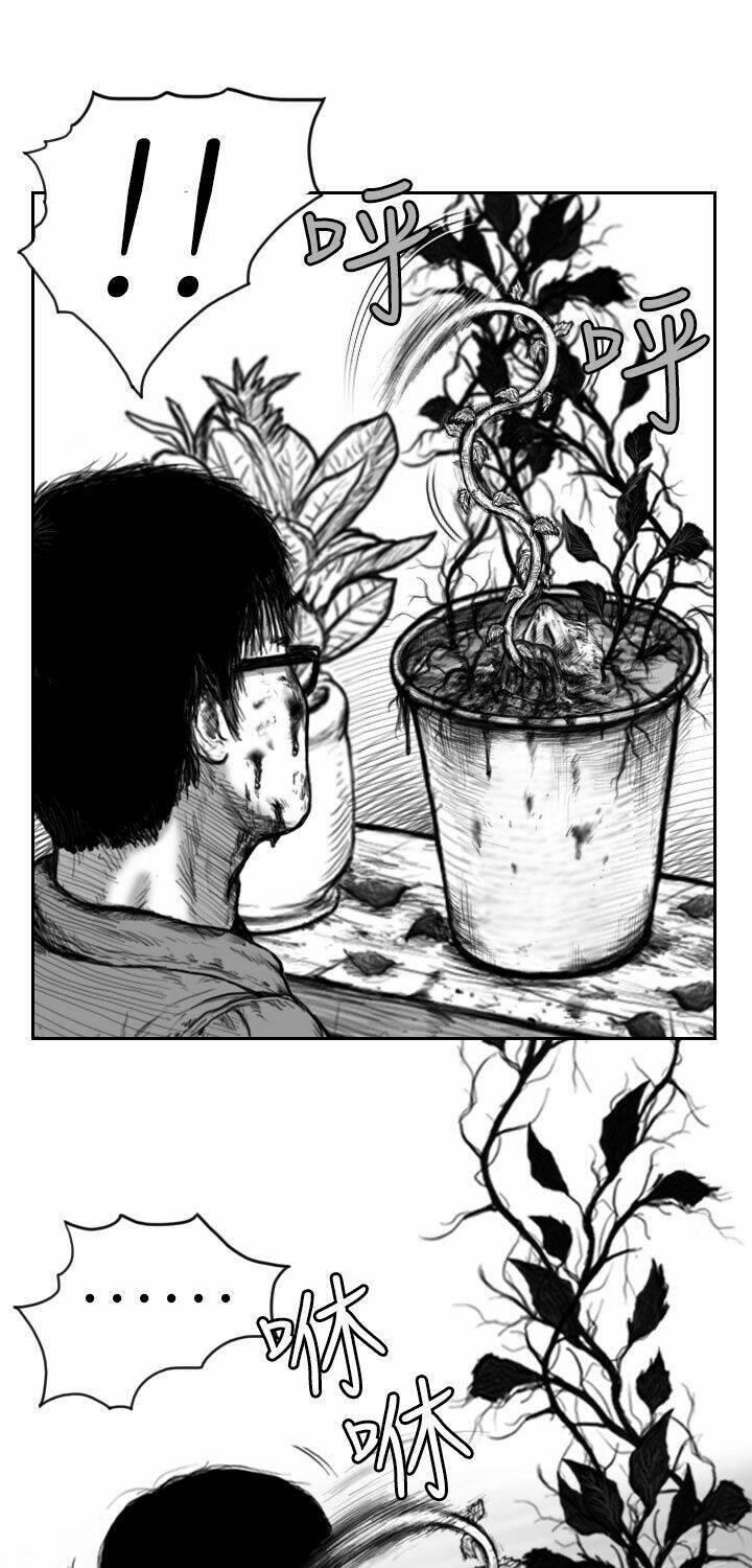 Hạt Giống Mỹ Nhân: Chapter 2