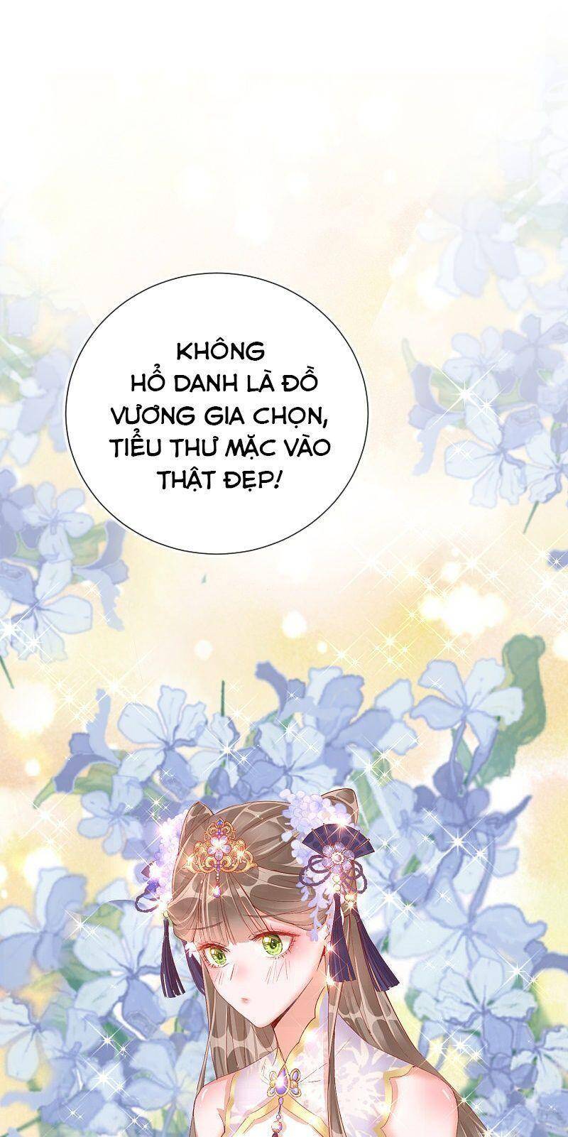 Công Lược Trưởng Thành Của Vương Phi: Chapter 31