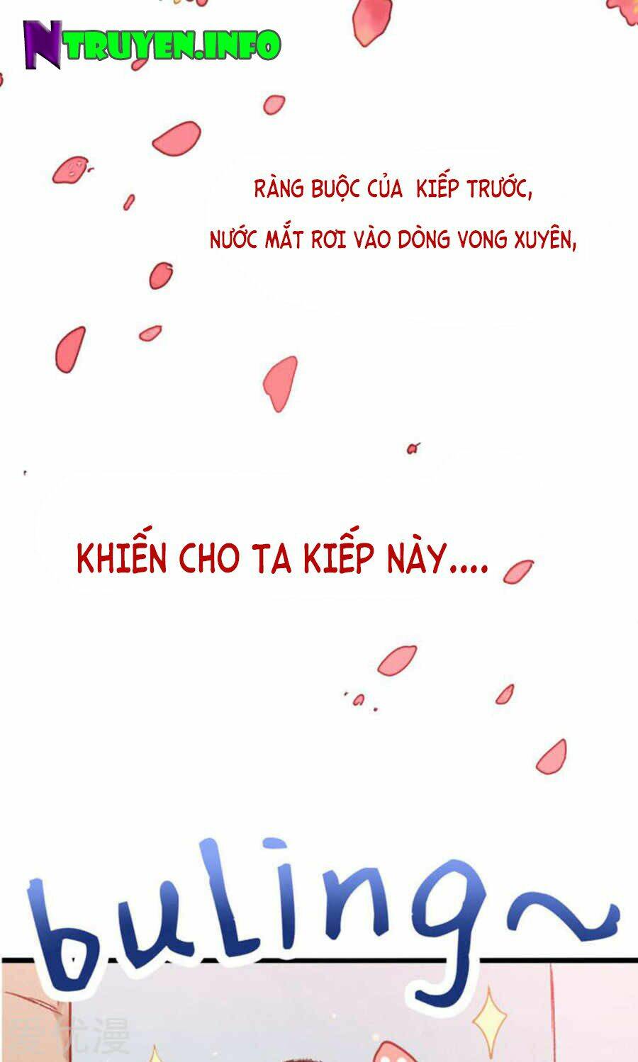 Tôi Bị Gấu Trúc Nhìn Trúng Rồi: Chapter 1