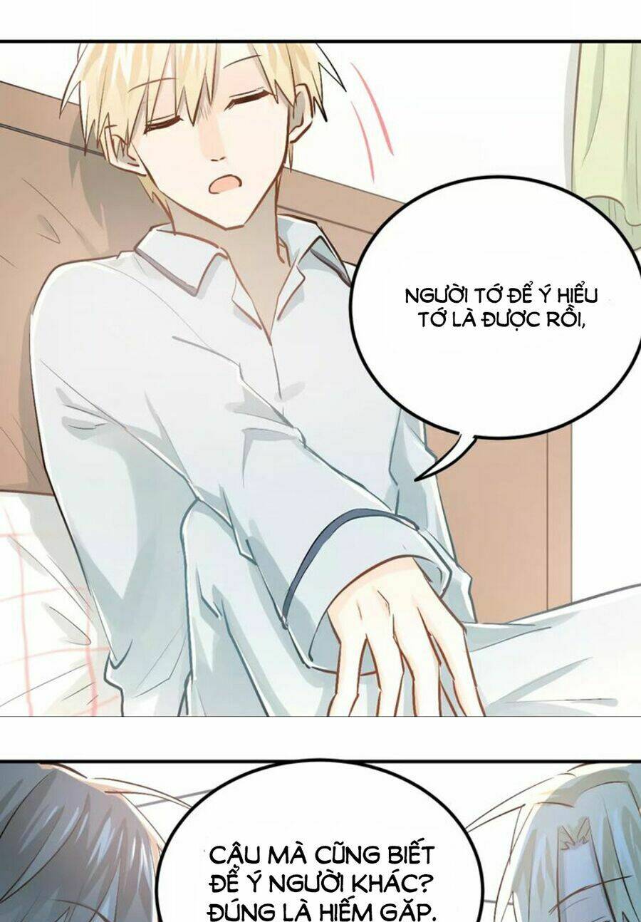 Đầu Gấu Biết Yêu: Chapter 54