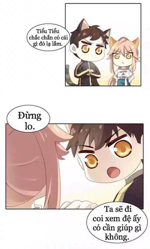 Dưới Móng Vuốt Mèo: Chapter 11