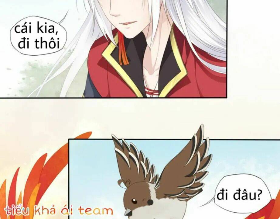 Tước Kiều Tiên: Chapter 2.1