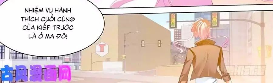 Bá Đạo Tiểu Thúc, Xin Trêu Chọc Vừa Thôi!: Chapter 105