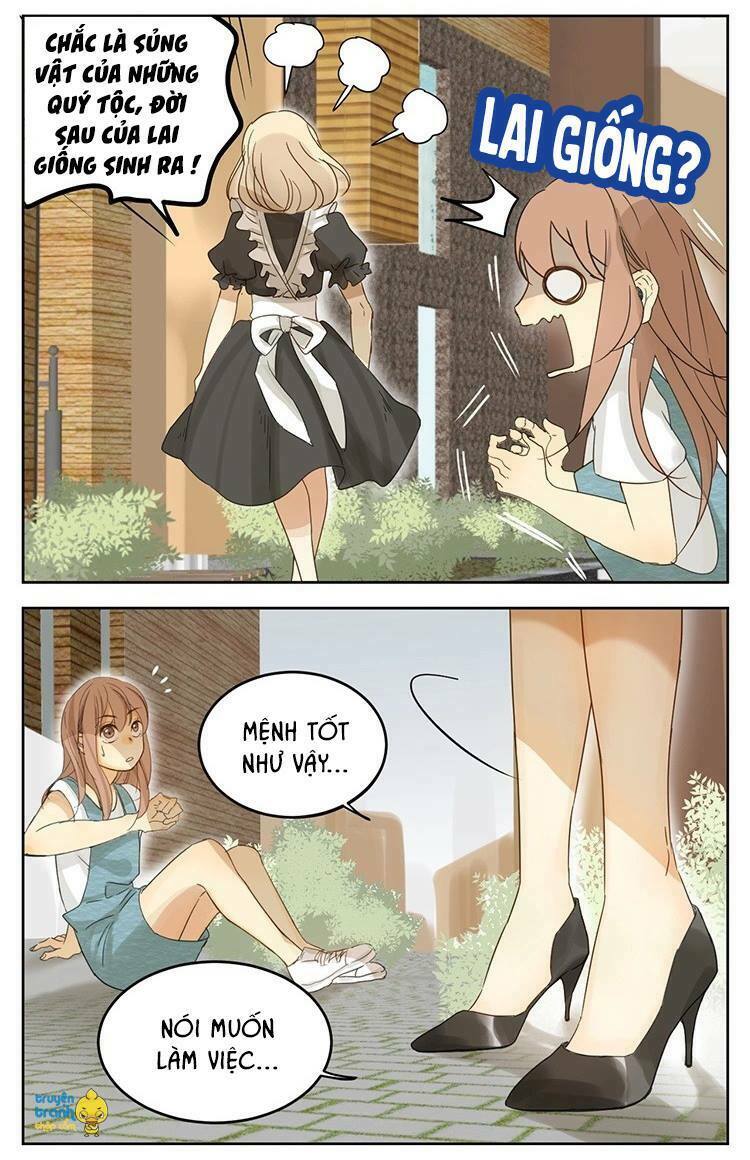 Cứu mạng ! Loài mèo thống trị thế giới rồi !: Chapter 12
