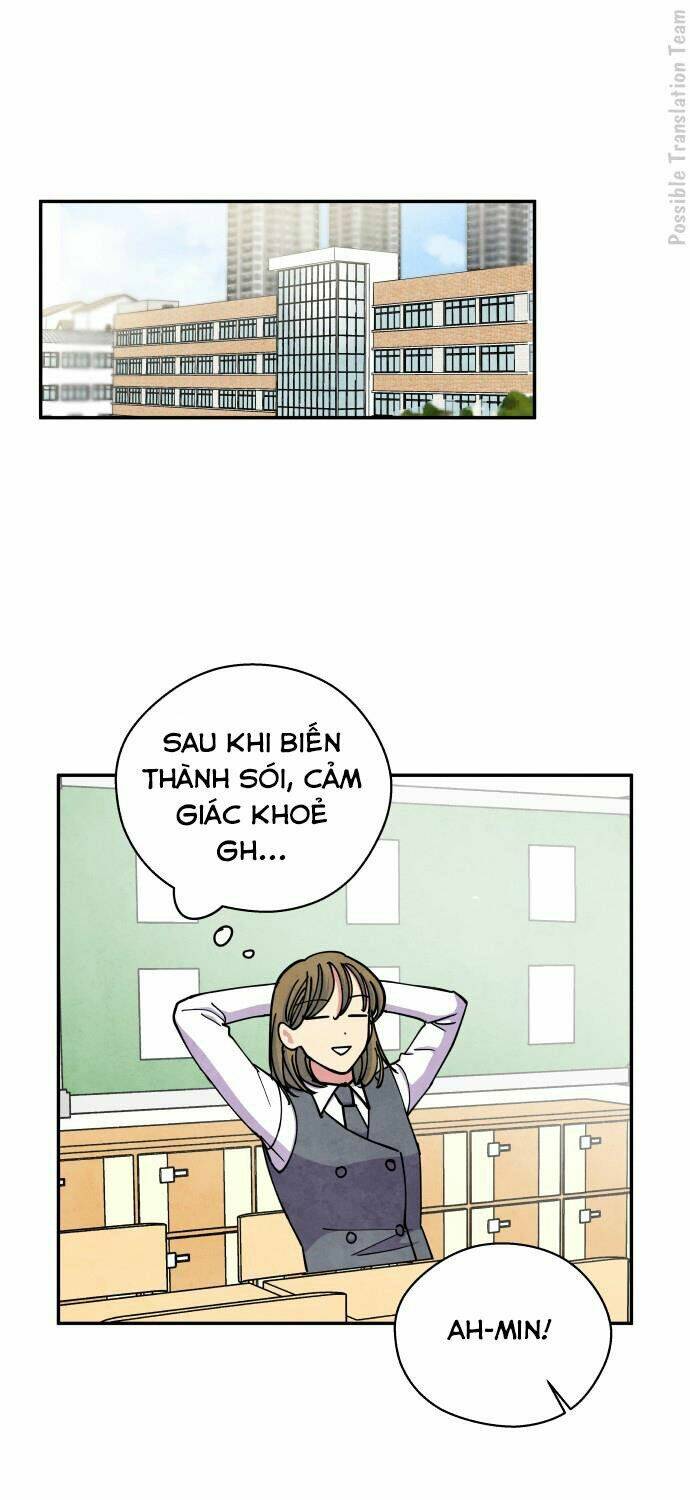 Tai Sói Và Mũ Đỏ: Chapter 39