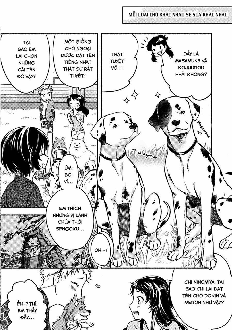 One-Room Wanko: Chapter 2