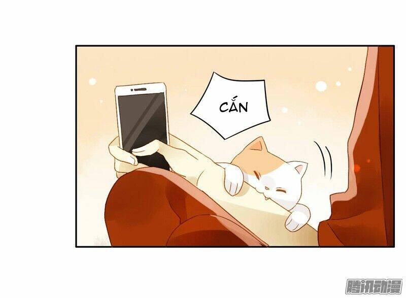 Sức Mạnh Của Sắc Đẹp: Chapter 58