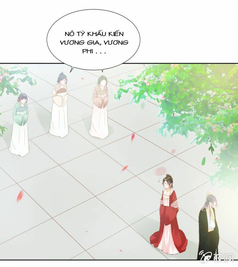 Solo Đi Vương Gia: Chapter 49