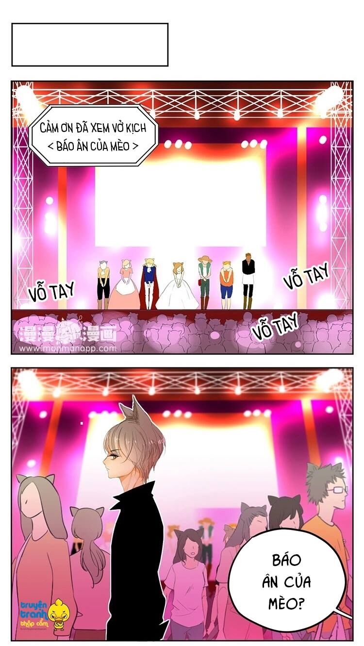 Cứu mạng ! Loài mèo thống trị thế giới rồi !: Chapter 23