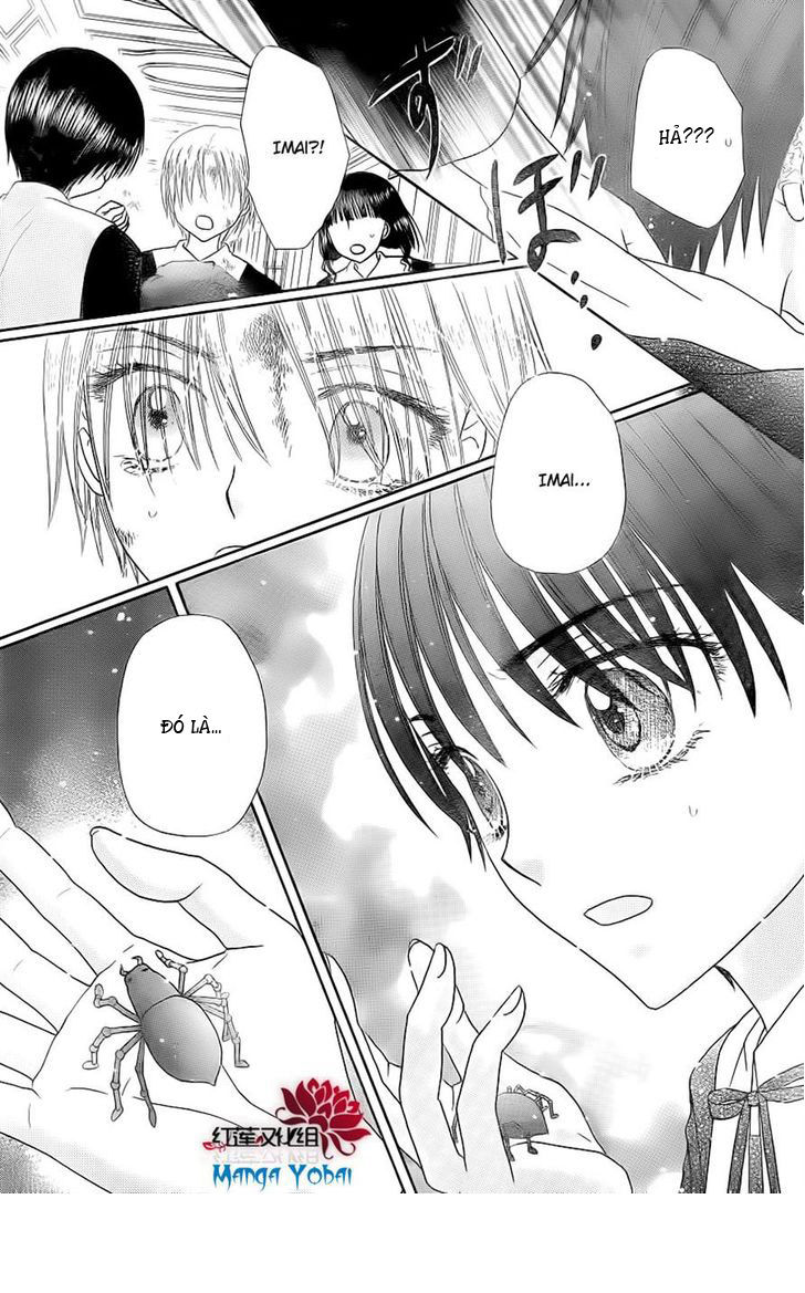 Học Viện Alice: Chapter 165