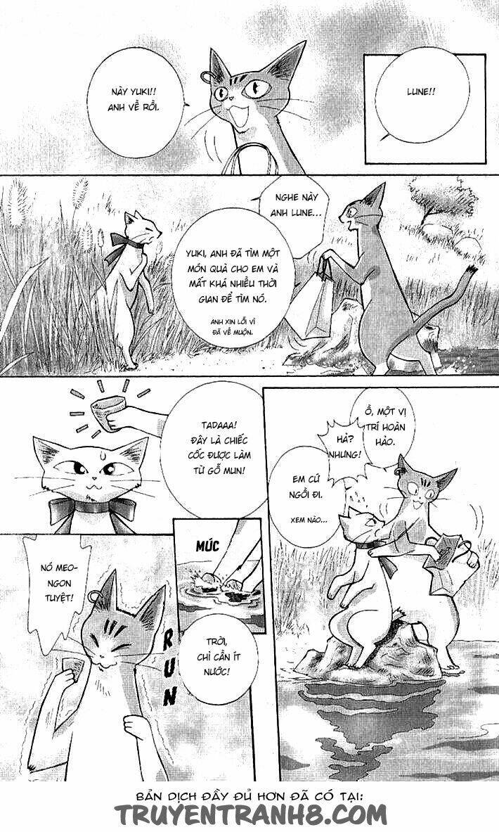 Lời Thì Thầm Từ Trái Tim: Chapter 9