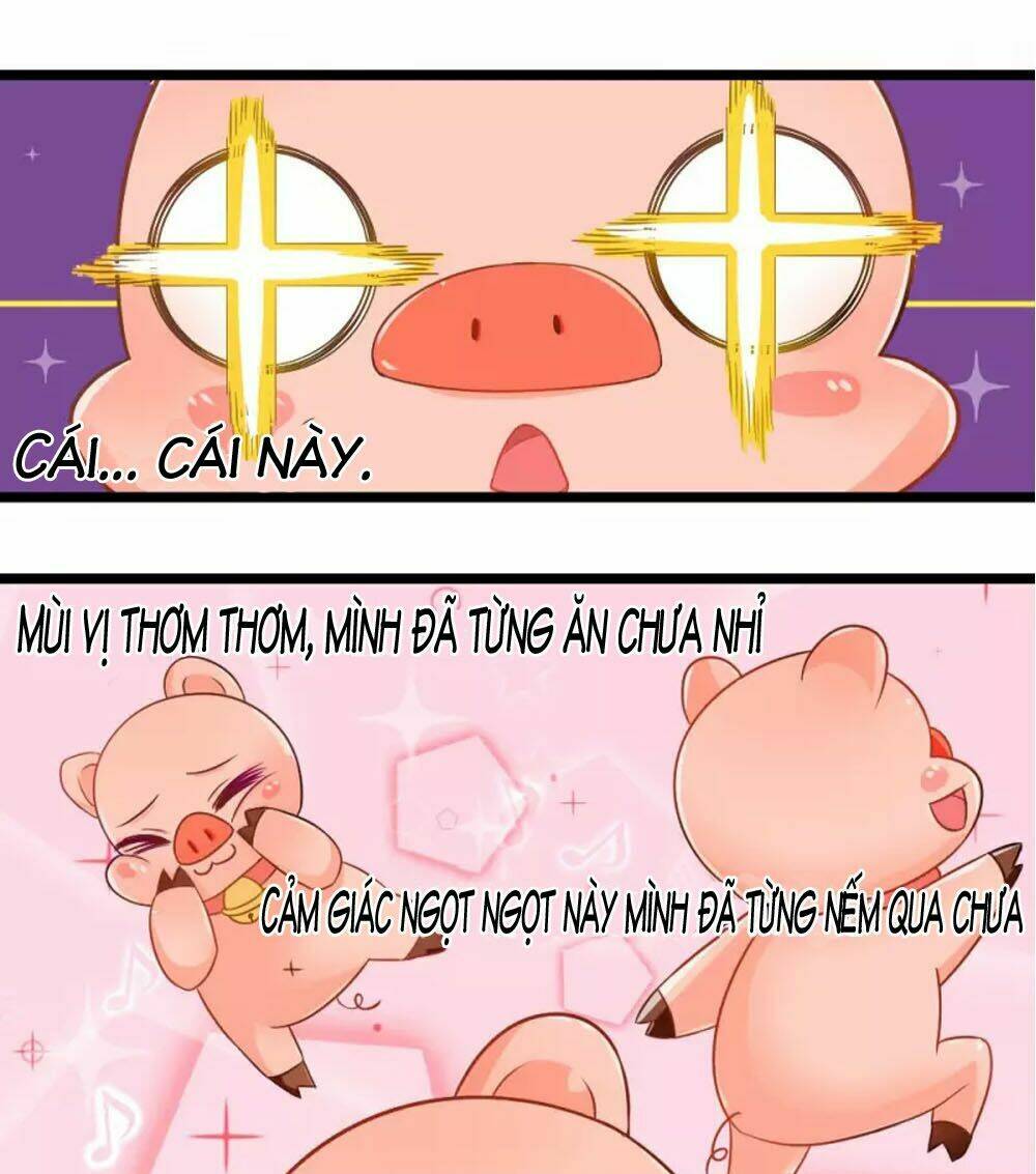 Đệ Tử Của Ta Là Heo: Chapter 4