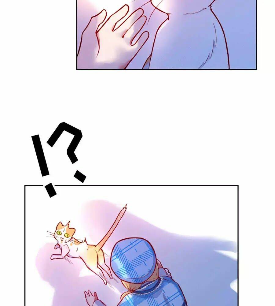 Kế Hoạch Sống Còn Của Công Chúa Nữ Phụ: Chapter 11