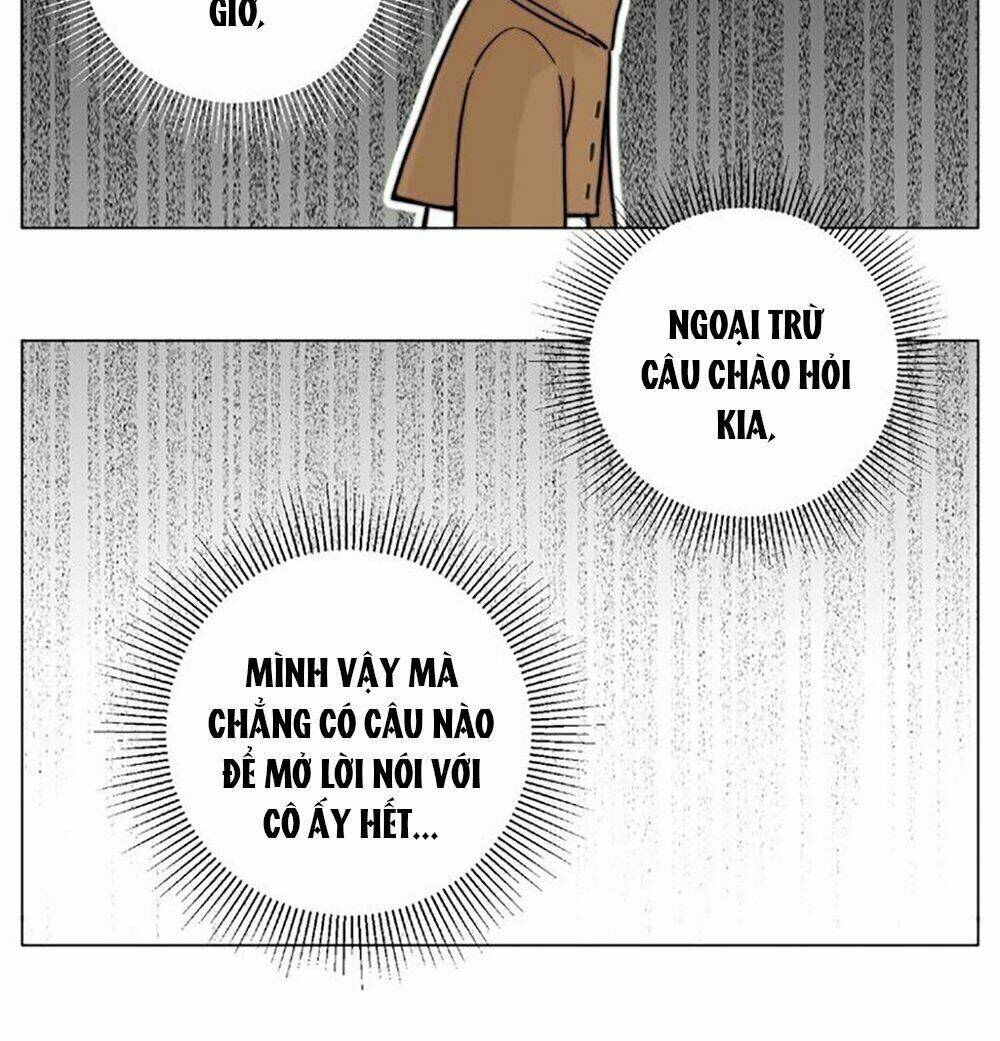 Tình Yêu Chớp Nhoáng: Chapter 88