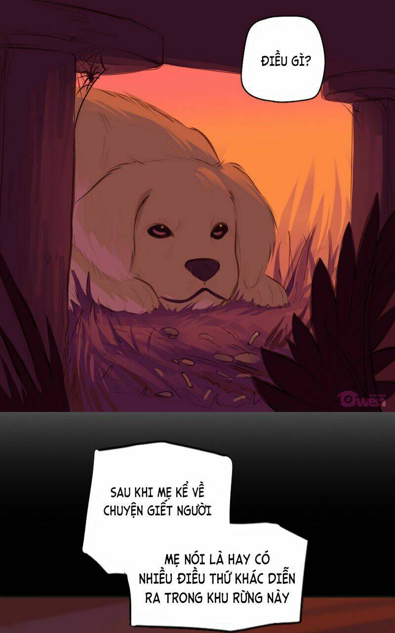 Lời Nguyền Lalin: Chapter 5