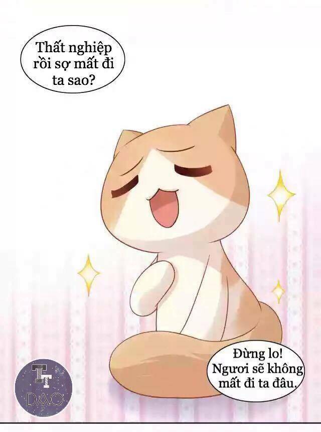 Dưới Móng Vuốt Mèo: Chapter 12
