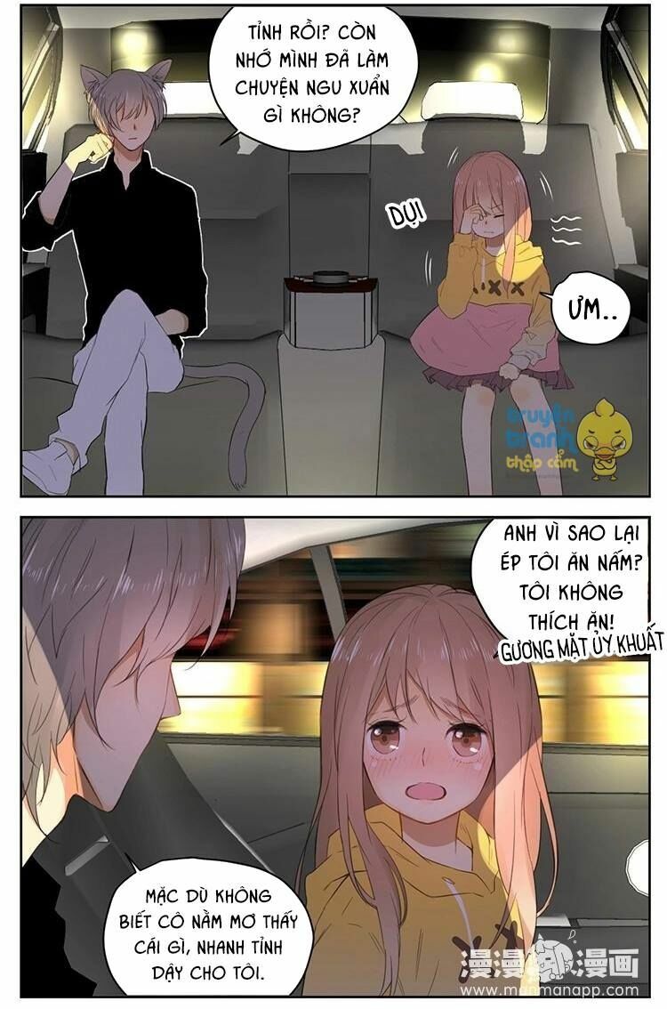 Cứu mạng ! Loài mèo thống trị thế giới rồi !: Chapter 26
