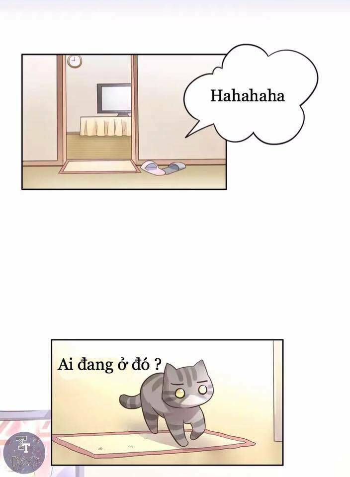Dưới Móng Vuốt Mèo: Chapter 19